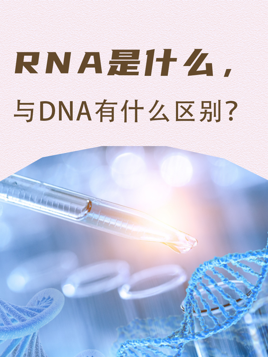 RNA是什么，与DNA有什么区别？-有来医生