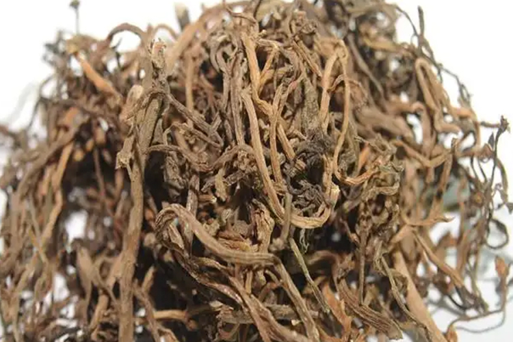 马齿苋中药材图