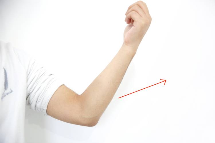 肘关节的屈伸动作图片图片