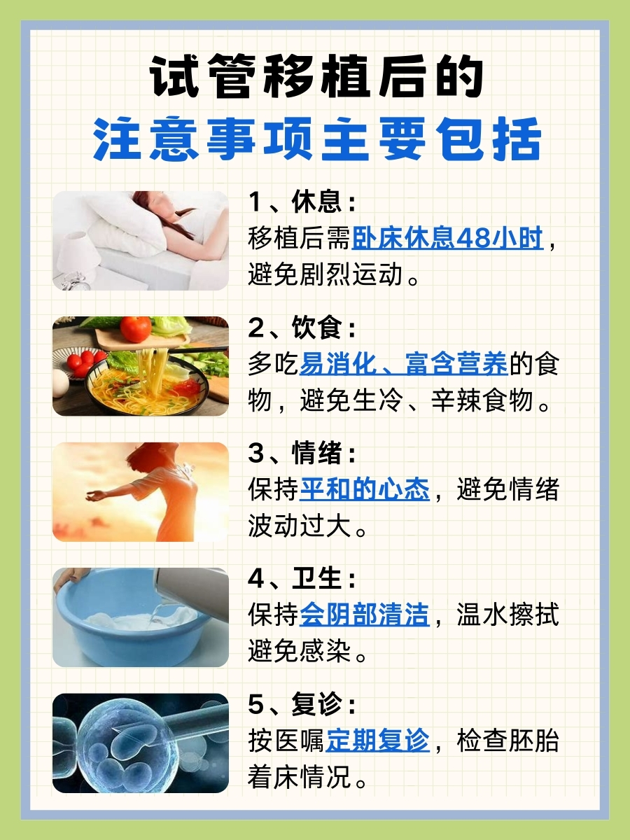 试管生育:流程步骤与检查清单