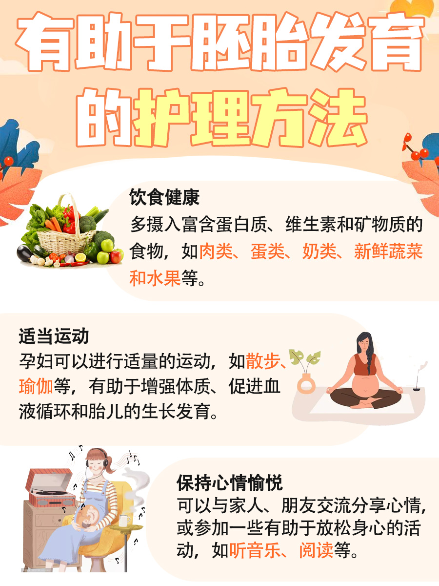 一文告诉你：胚胎是什么意思？
