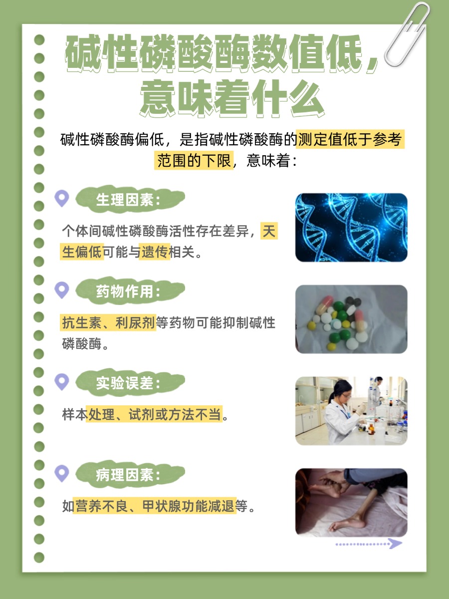 碱性磷酸酶偏低,身体在说什么?