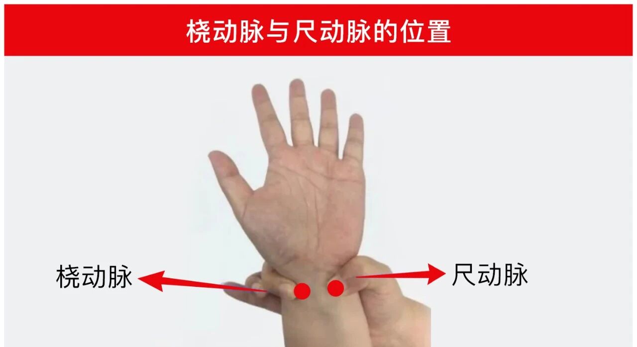 微信图片_2026-08-31_182354_985.jpg