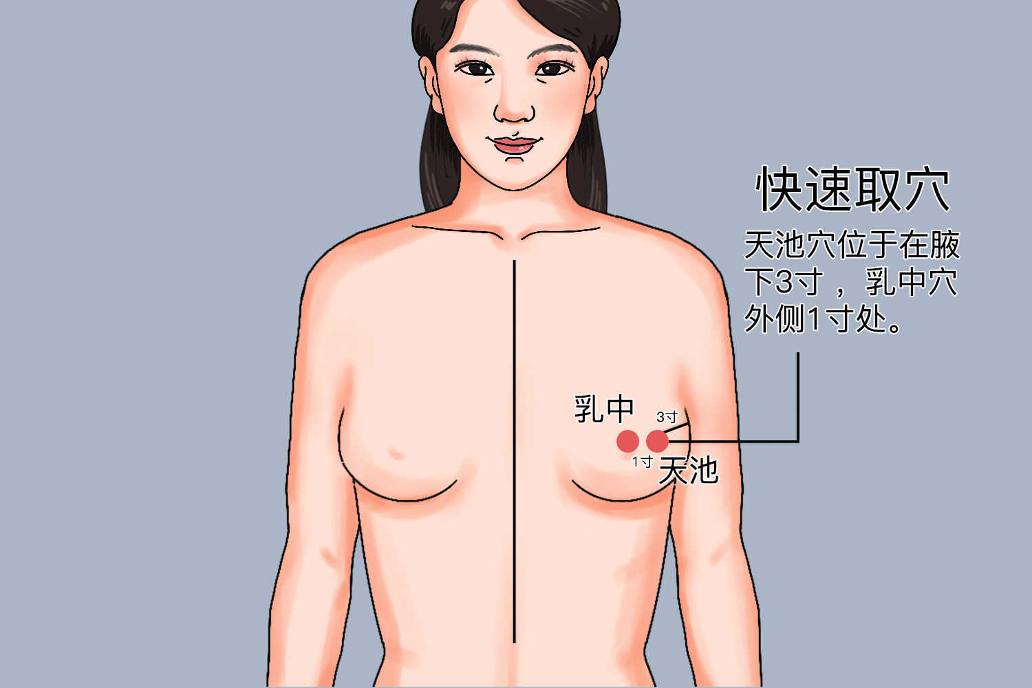 天池穴位置图 天池穴位置图