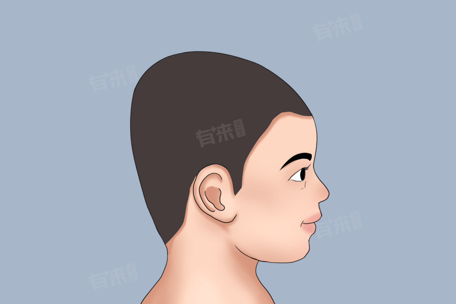 后脑勺扁平的人智力真的低吗-有来医生