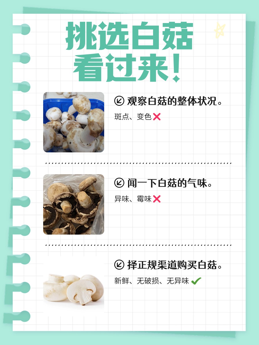 白菇里面黑|健康隐患还是自然现象?
