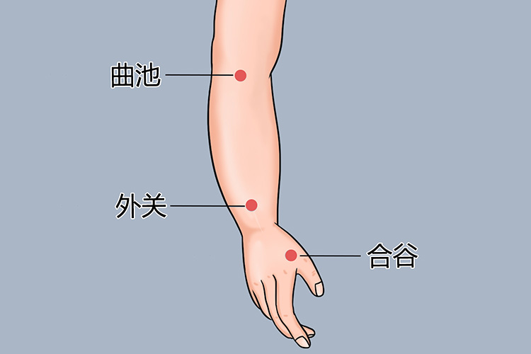 曲池、外关及合谷穴位置图