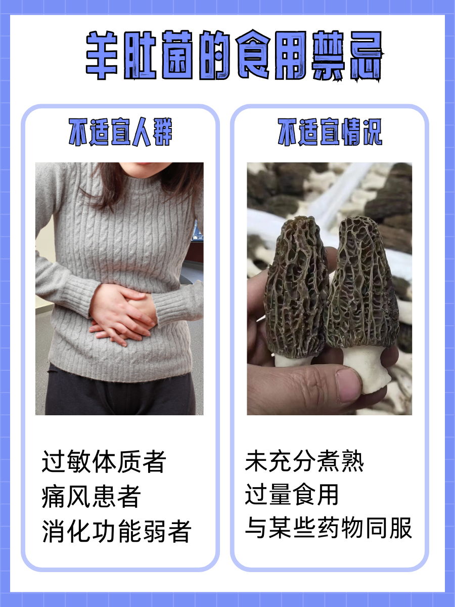羊肚菌的功效与作用，看看你吃对了没？