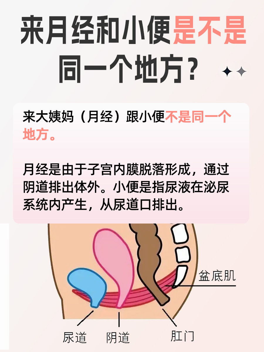 揭秘！来月经和小便是一个地方吗？