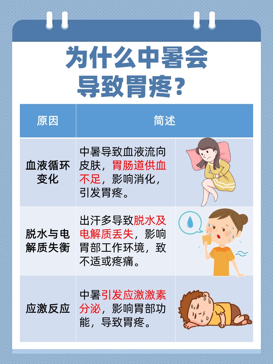 探秘！中暑导致胃疼的背后原因