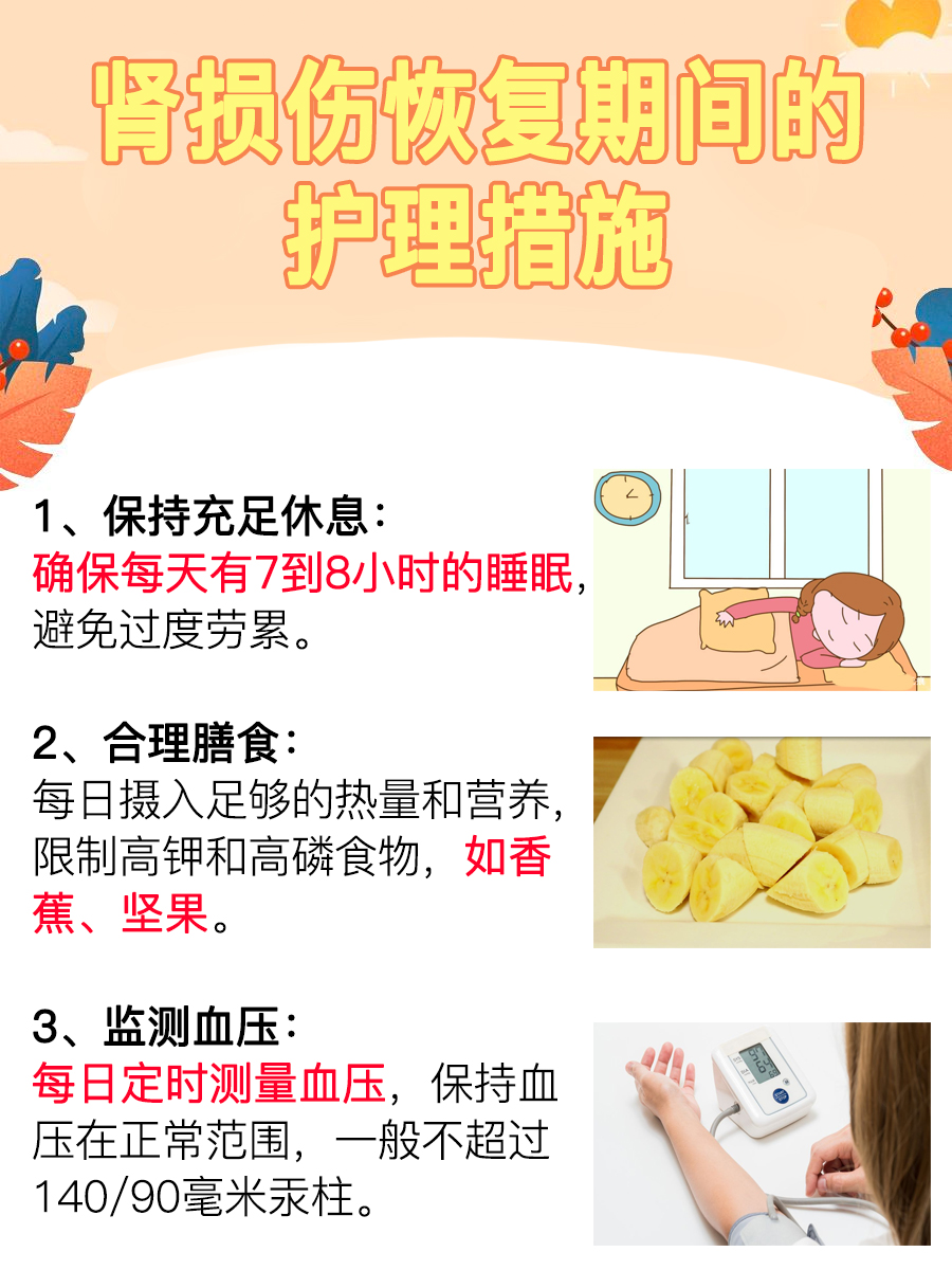 了解肾损伤：能否恢复？