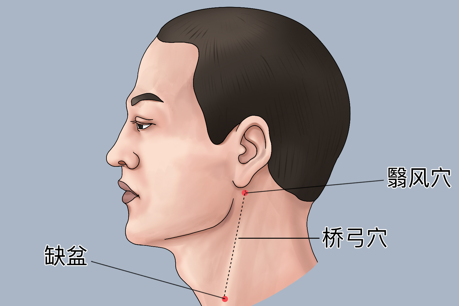 桥弓的准确位置图