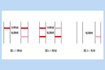 核酸试纸怎么看C和T.png