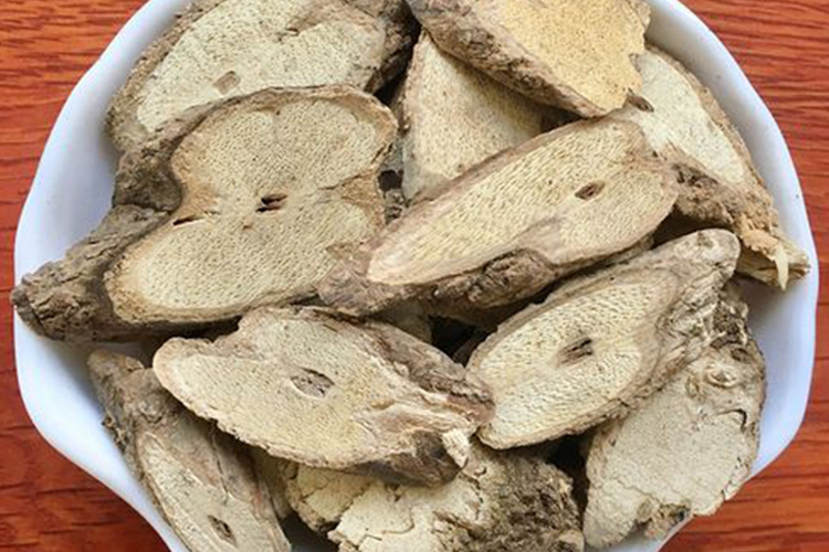 牛奶藤药材片状图