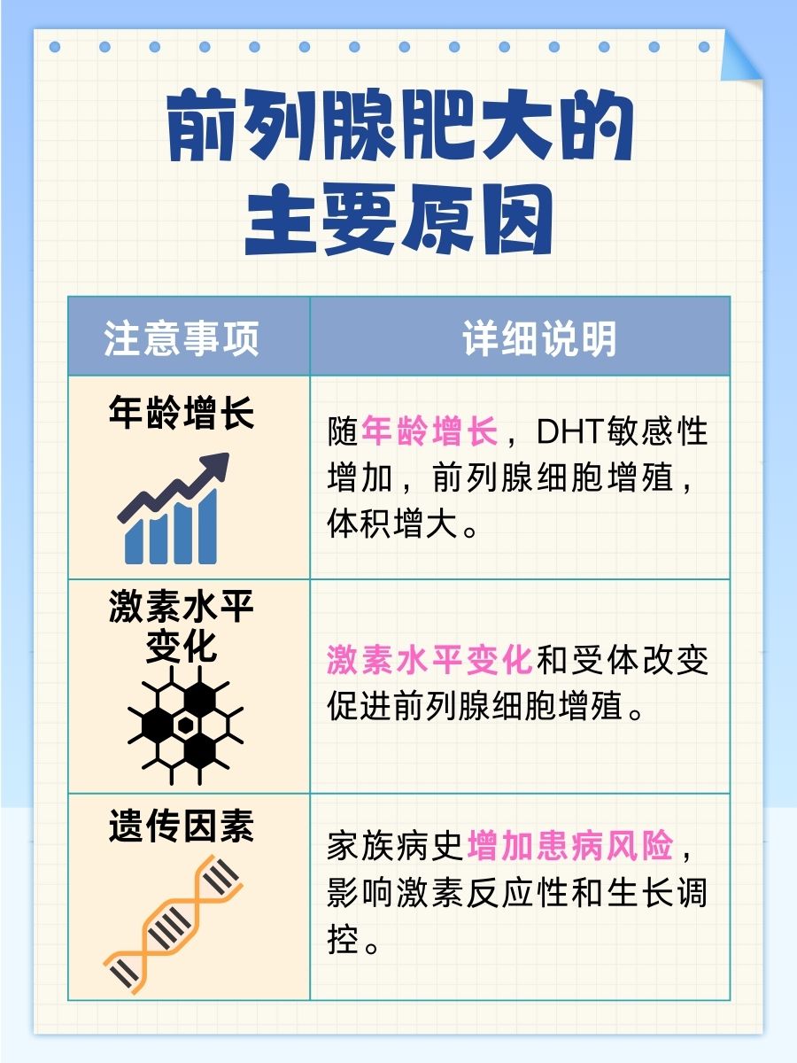 前列腺肥大成因:了解与预防