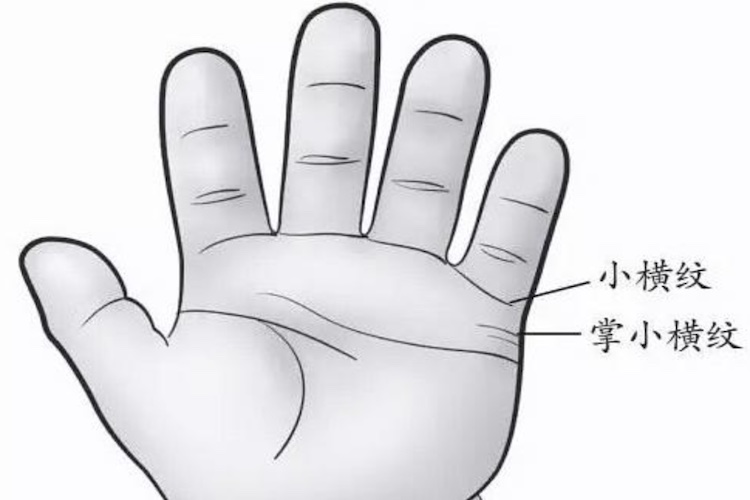 掌小横纹位置图