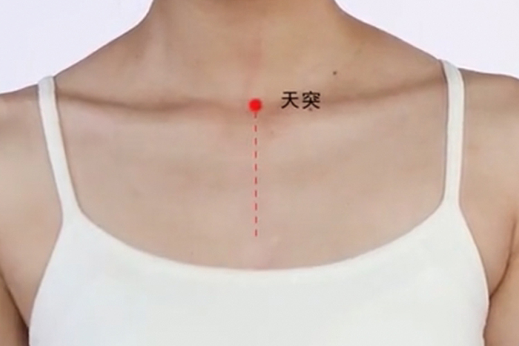 天突穴图