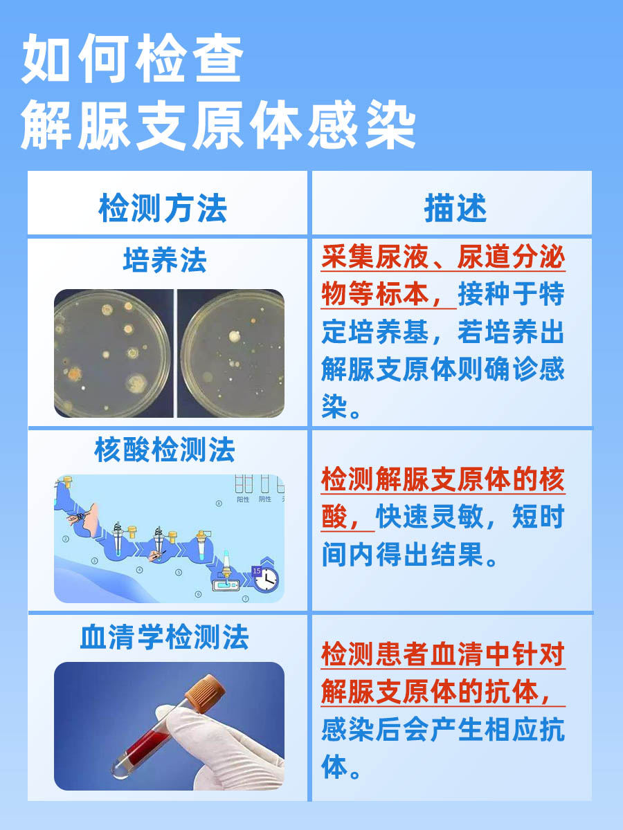 揭秘：解脲支原体目前无法根治吗？