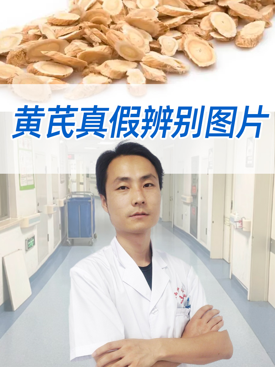 黄芪真假辨别图片