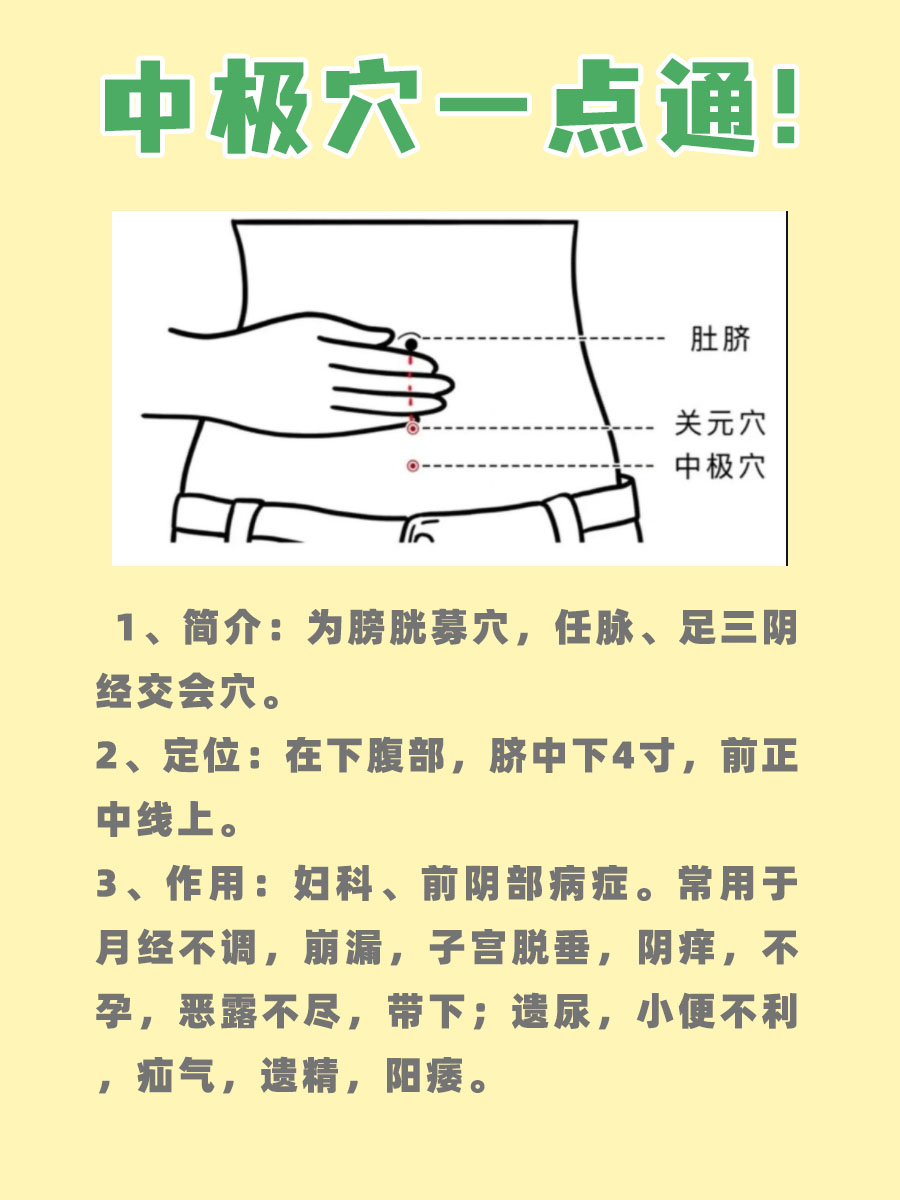 中极穴位置详解,健康作用不容错过