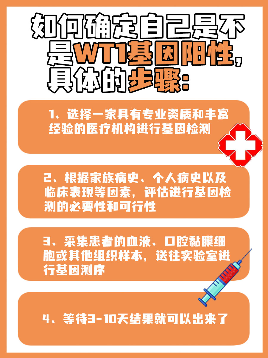 WT1基因阳性说明什么？专家为您解读