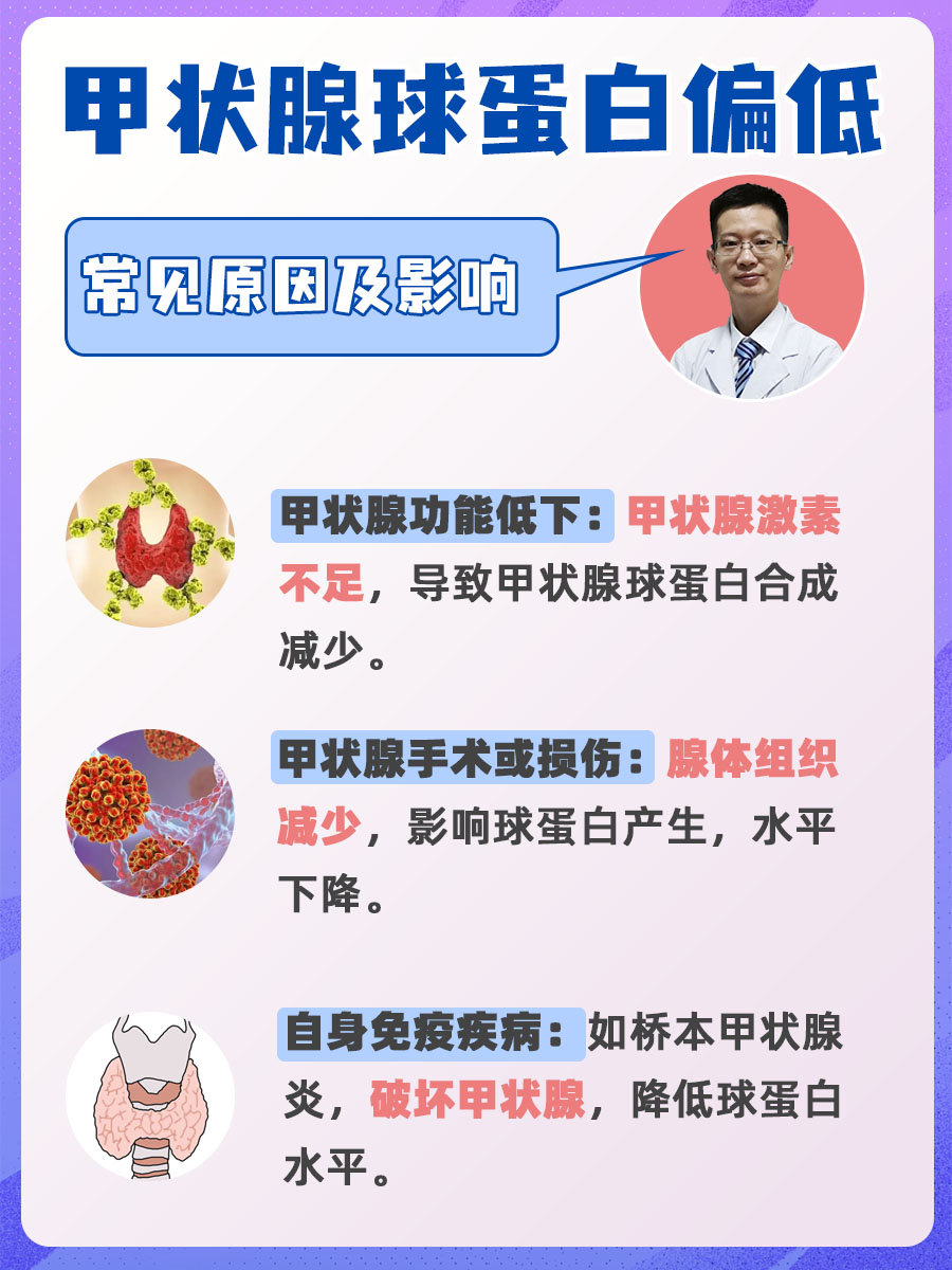 甲状腺球蛋白偏低：常见原因及影响解析