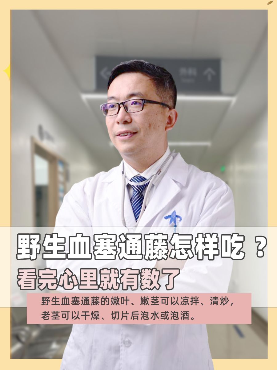 野生血塞通藤怎样吃?看完心里就有数了