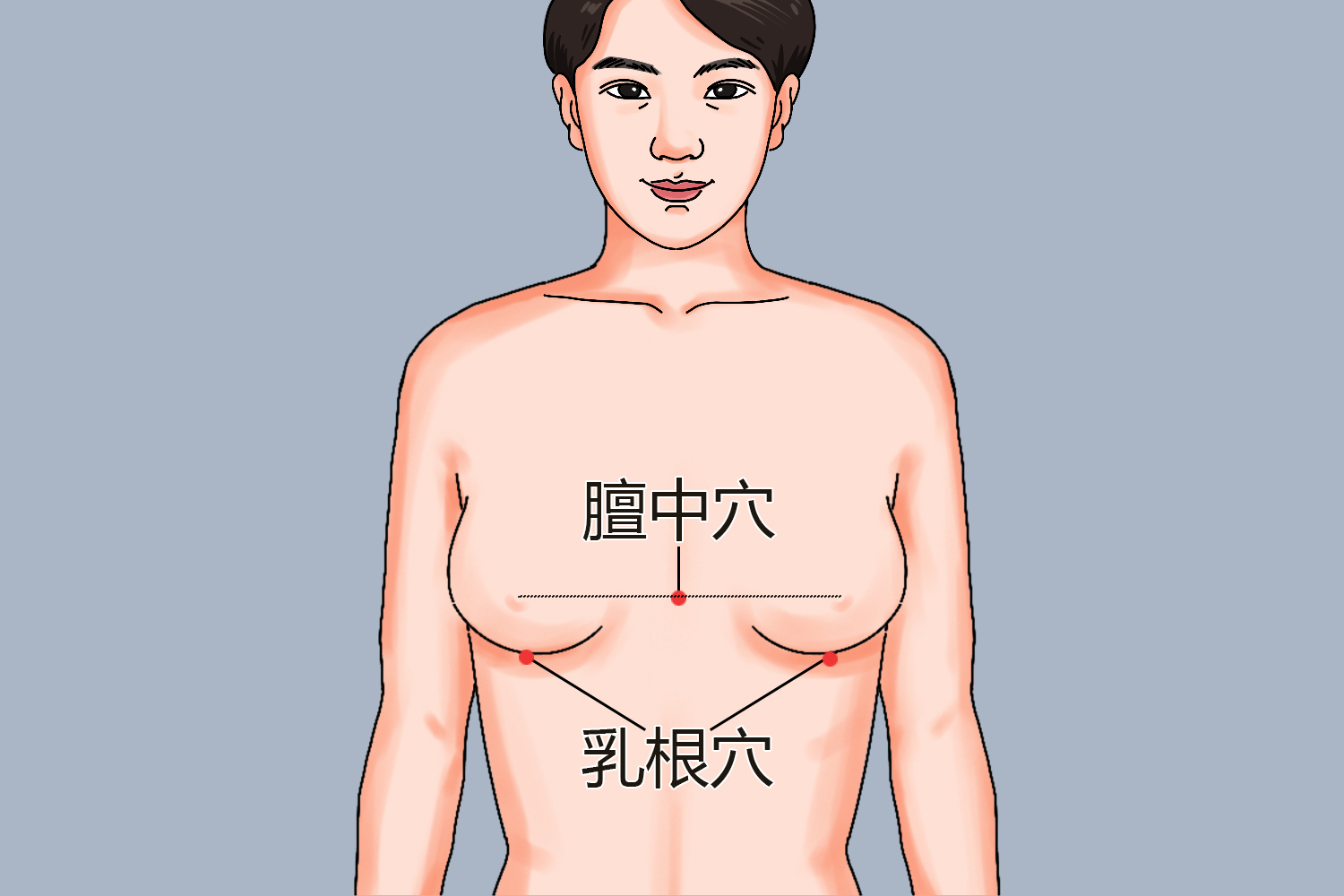 乳根穴位置手绘图