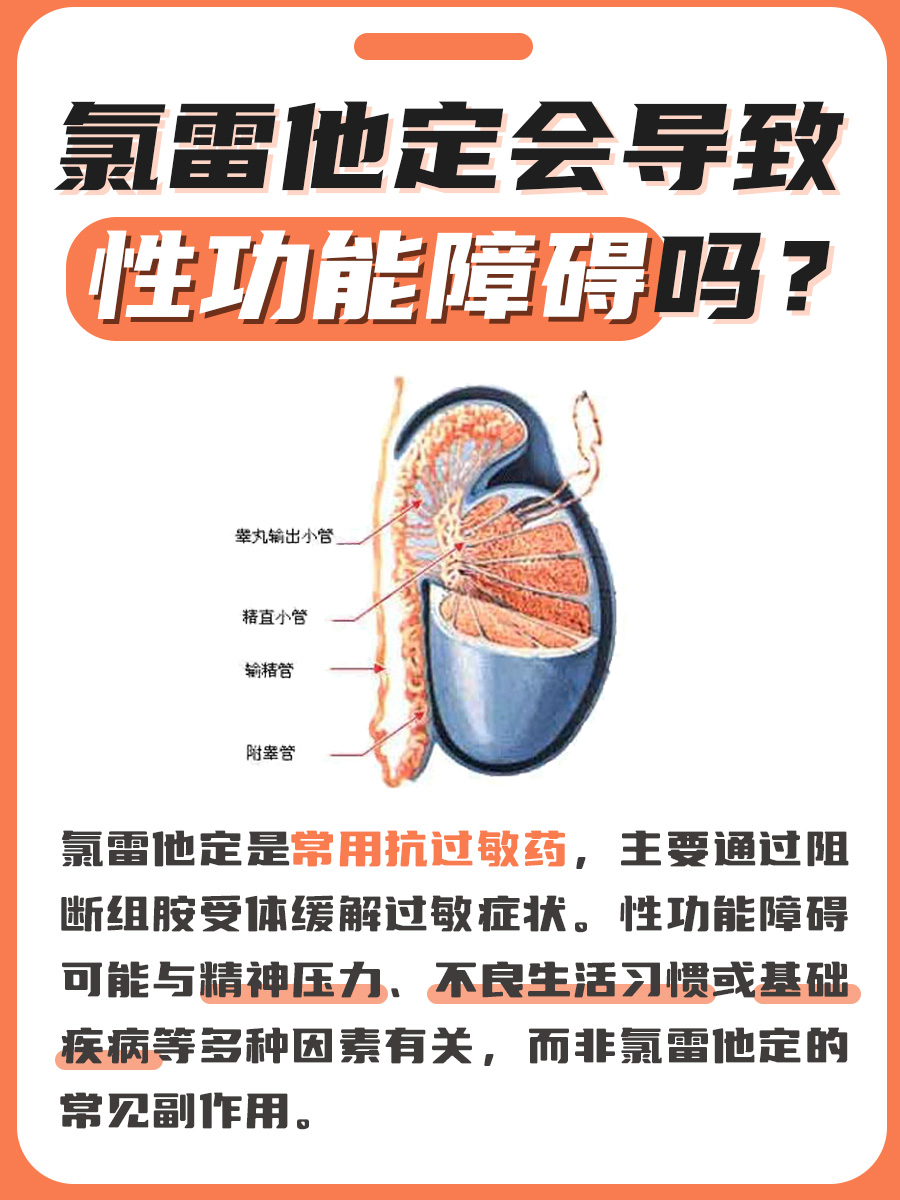 氯雷他定与性功能障碍：真相揭秘