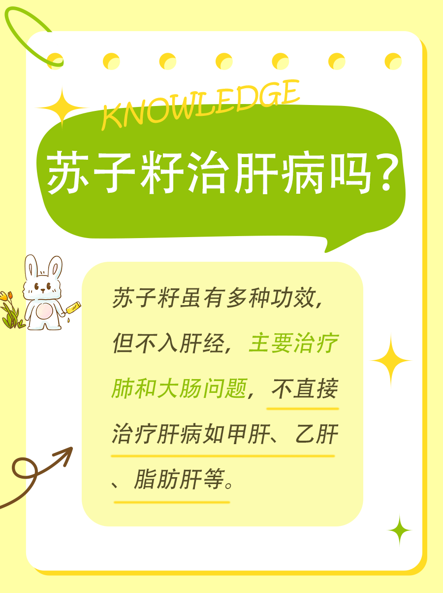 苏子籽能治肝病吗？真相大揭秘！