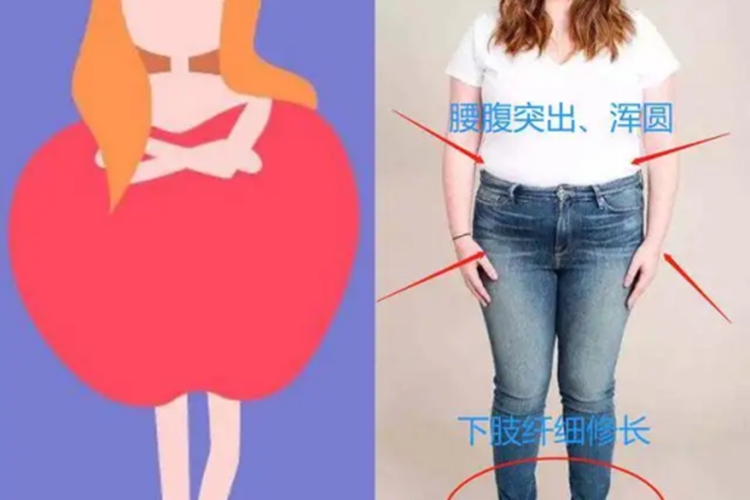 苹果型身材图