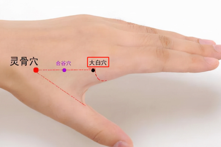 大白穴位置图 大白穴位置图
