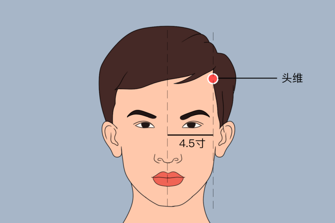 头维穴位置图