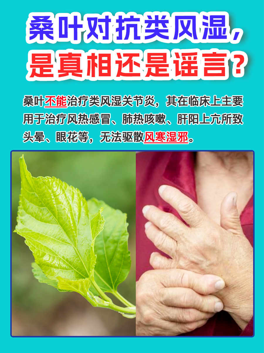 桑叶对抗类风湿，是真相还是谣言？