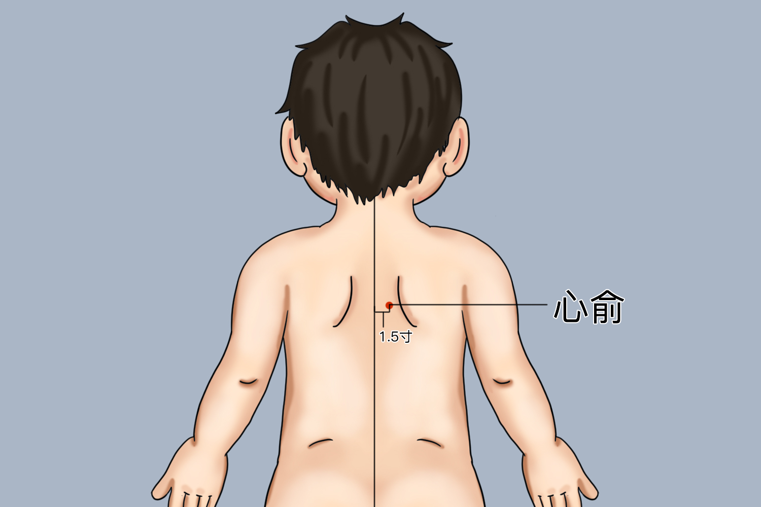心俞穴位置图