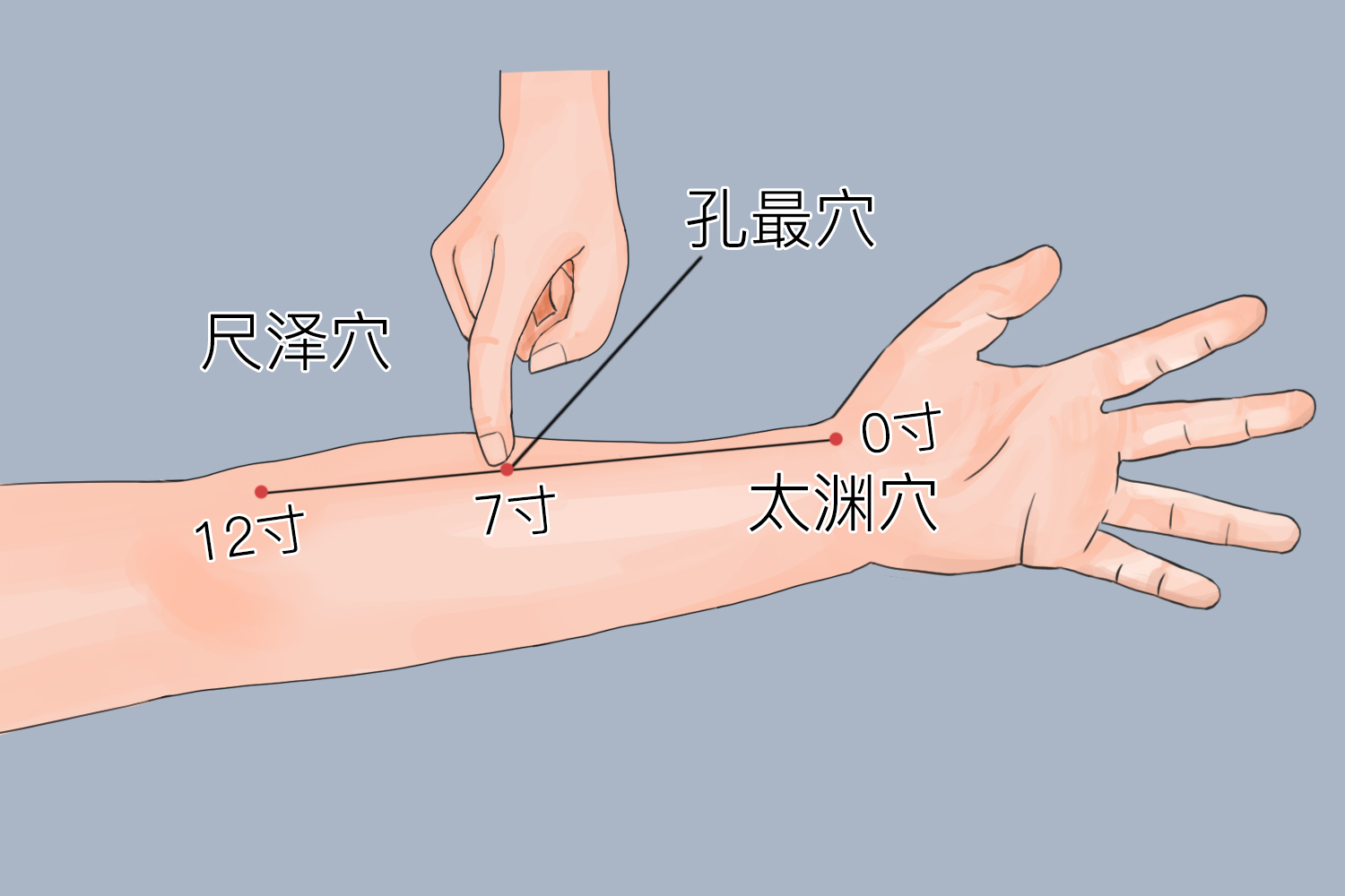 按揉孔最穴止鼻血图解