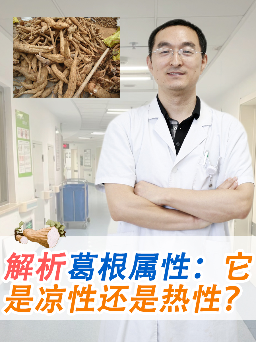 解析葛根属性：它是凉性还是热性？