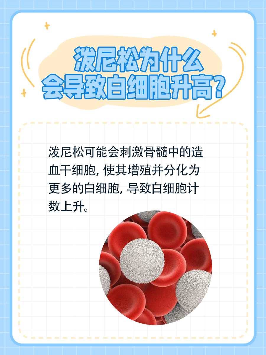 泼尼松会引发白细胞升高吗？一文为你揭晓答案！