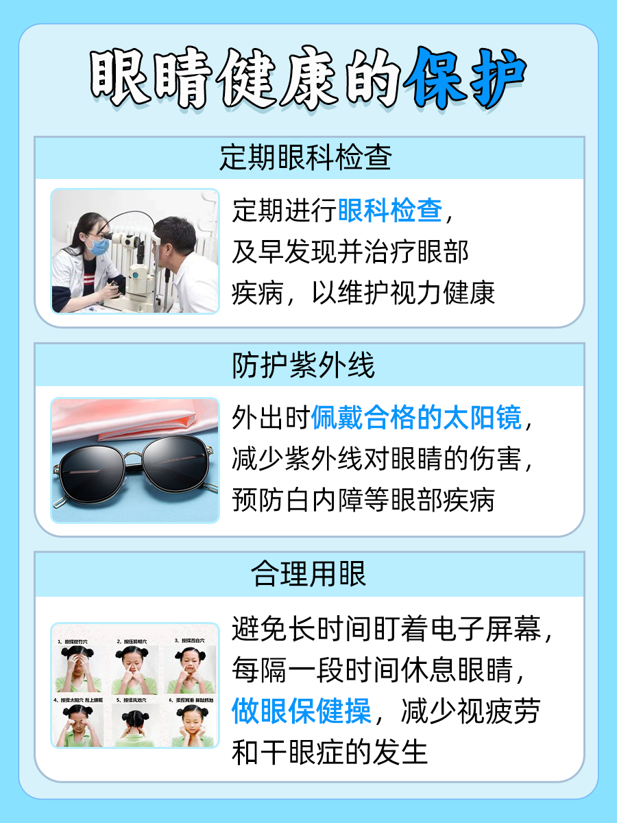 眼睛构造详细图解