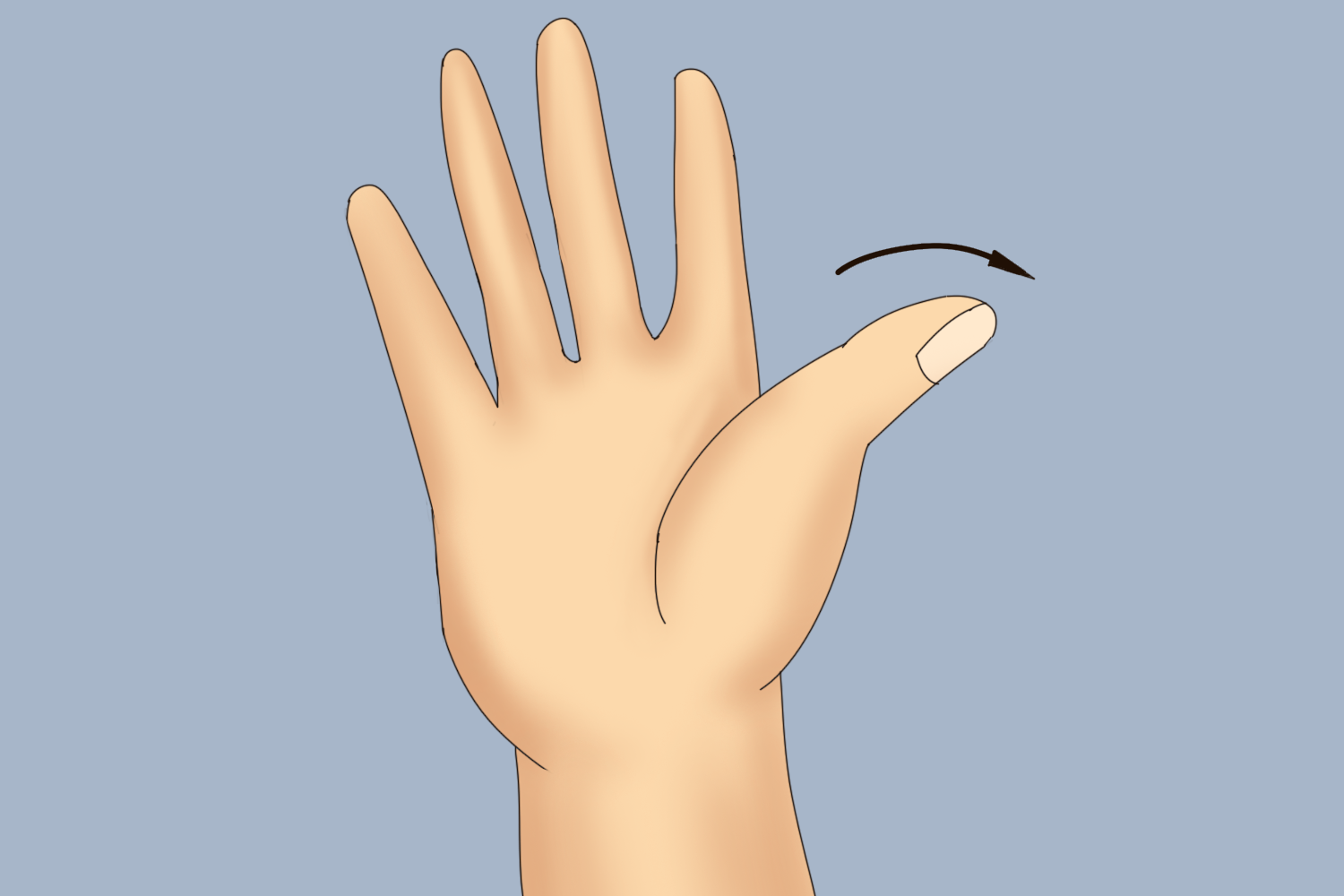 拇指桡侧外展运动图 拇指桡侧外展运动图