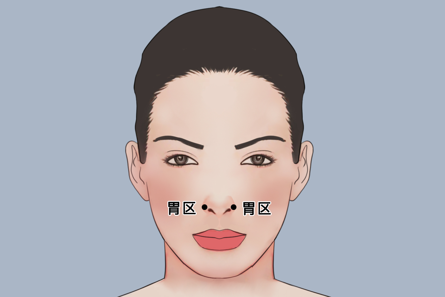 胃反射区面部位置图