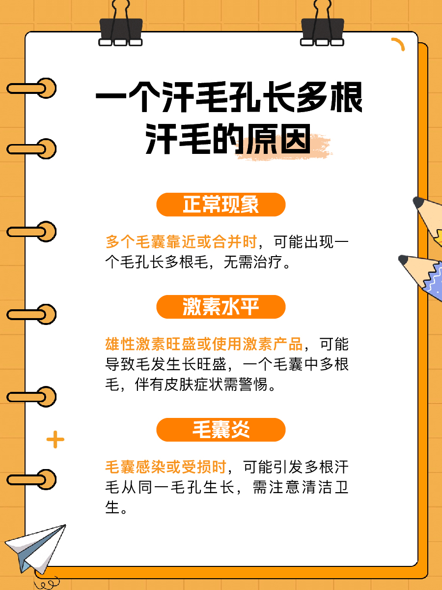 医生解答:为何一个汗毛孔能长出多根汗毛?