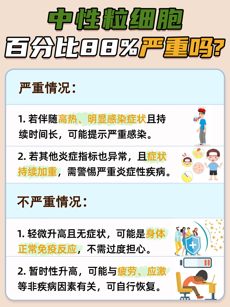 中性粒细胞百分比88%：是否意味着严重疾病？