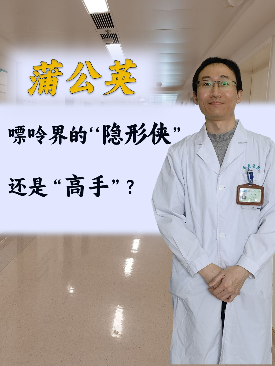 蒲公英：嘌呤界的“隐形侠”还是“高手”？