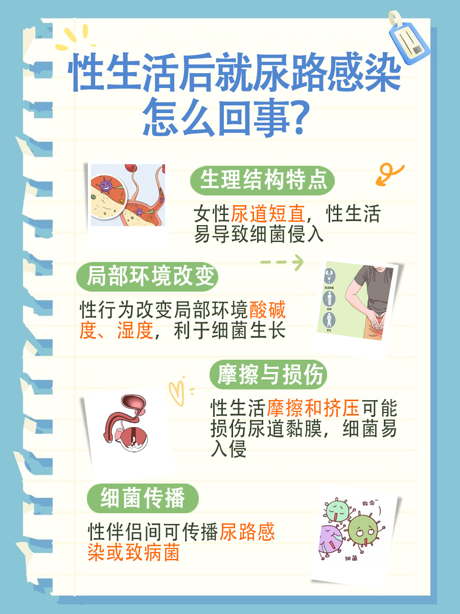 解读：性生活后尿路感染的现象