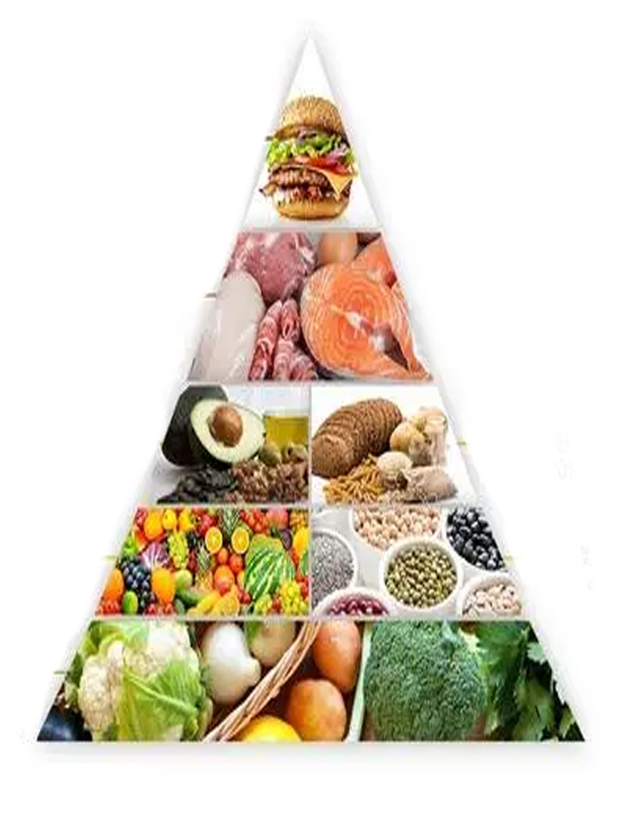 山猪吃不了细糠!那什么是“细糠”?