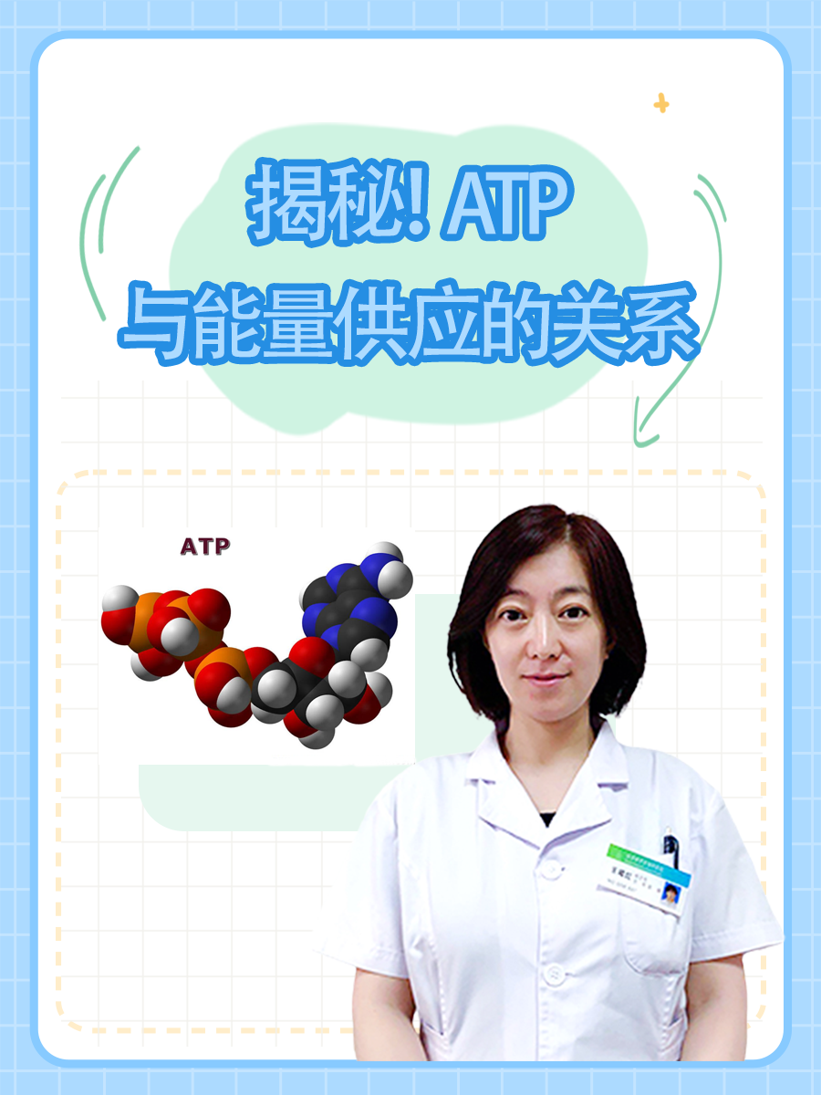 揭秘！ATP与能量供应的关系
