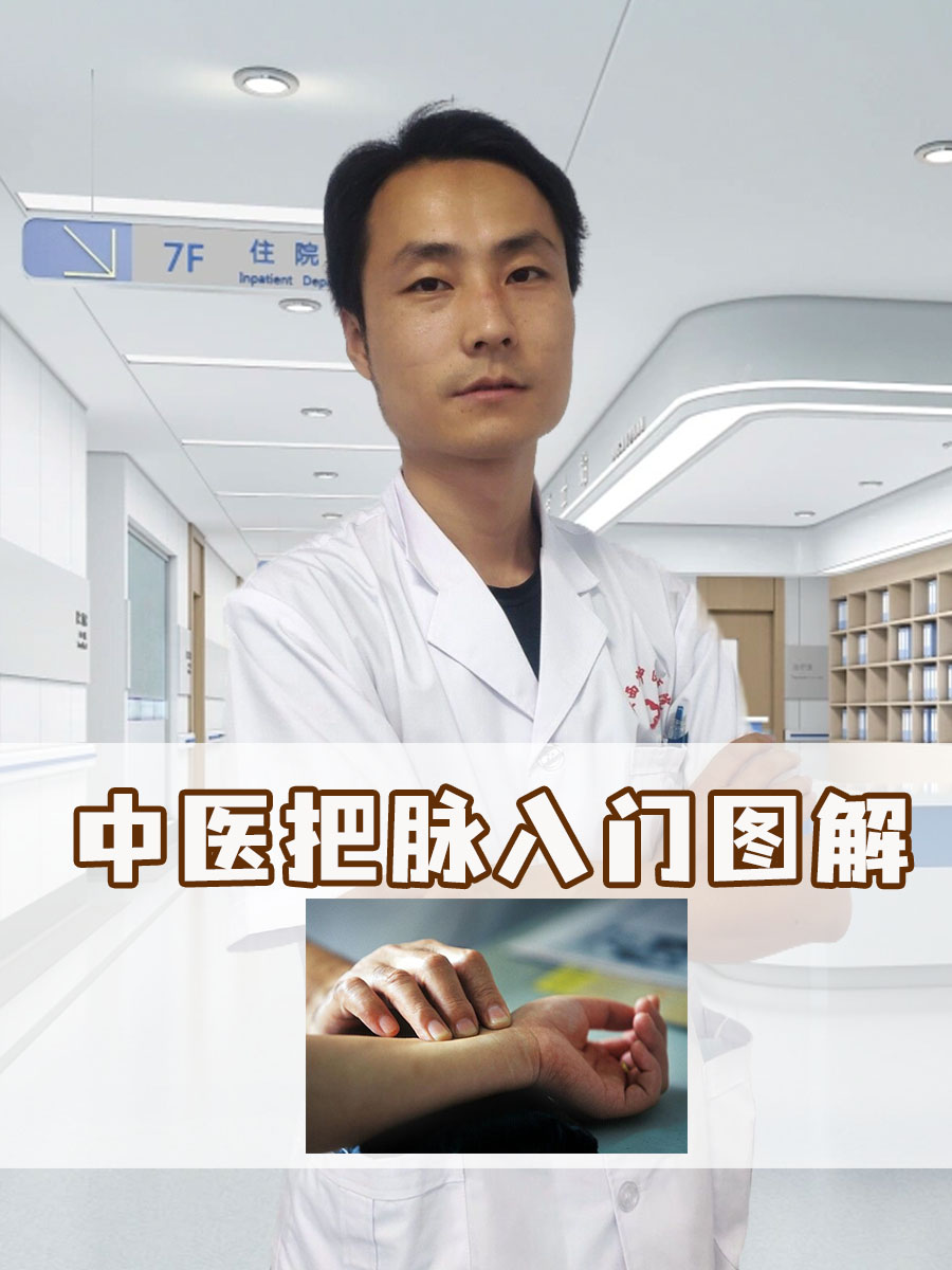 中医把脉入门图解