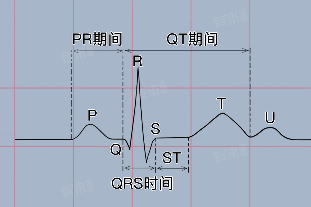 pr间期正常值范围