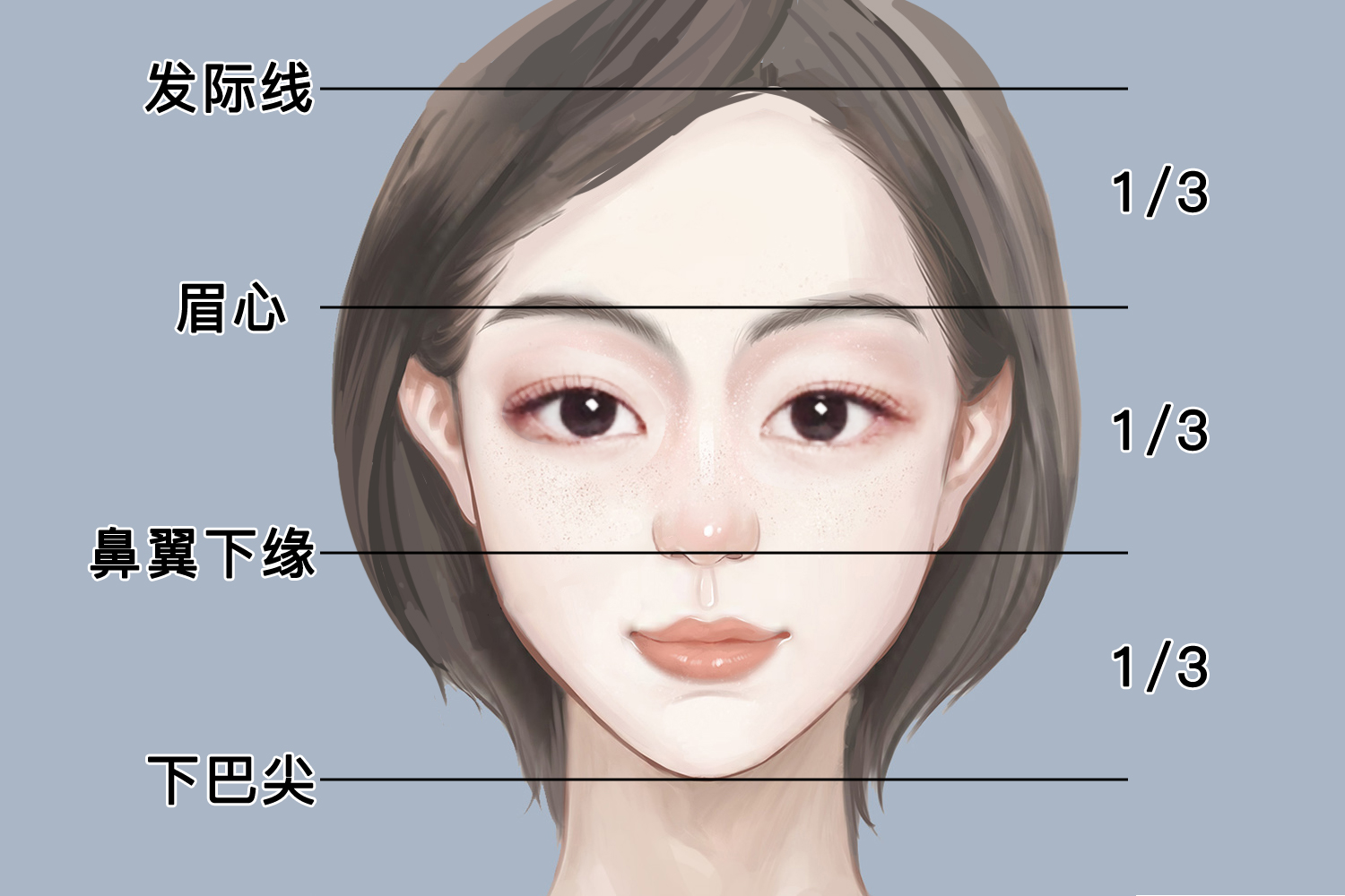 面部常用美容部位图